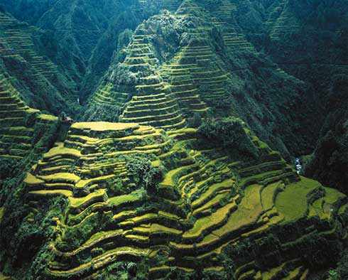 Ifugao rice terraces