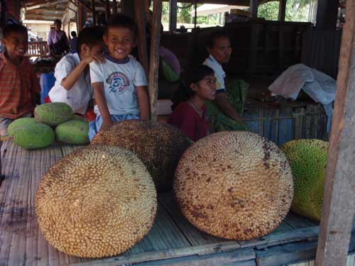 Jackfruit