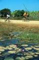 Cycling in Rural Cambodia