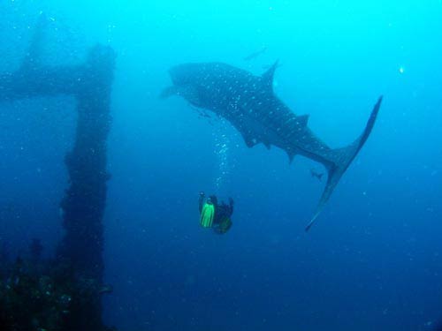 Labuan Wreck Diving