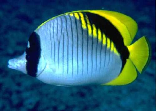 Nha Trang Nha Trang Bay